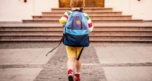 Kindergarten Schüler Erzieher Erzieherin Schulweg