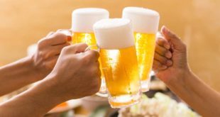 Prost Fest Bier Alkohol
