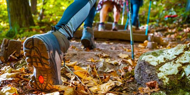 Wandern Wanderer Natur Odenwaldklub