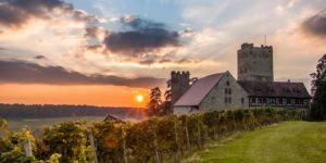 Burg-Neipperg-Bild-Carsten-Goetze-Kraichgau-Stromberg-Tourismus-e.V