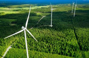 Windpark im Wald