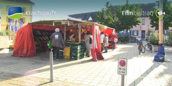 kw40_gemüsekiste_forst_kürbis_okt_2019