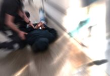Tierabwehrspray gegen Polizisten: Einsatz in Graben-Neudorf endet mit fünf Verletzten