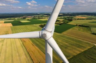 Windpark_Shutterstock