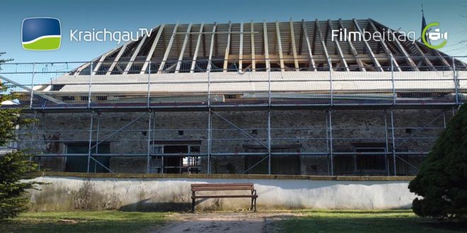 kw19_zehntscheuer_flugfilm