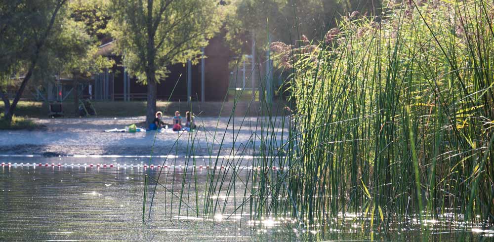 Forst: Heidesee nach Kiosk-Brand ab Samstag wieder geöffnet Forst: Heidesee nach Kiosk-Brand ab Samstag wieder geöffnet