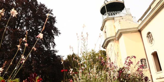 Bergfried Tourismus Programm