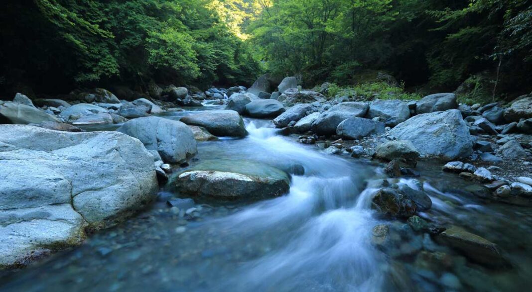 NATUR | Niedrige Wasserstände im Landkreis Karlsruhe Wasser Fluss Gewässer nass Wald Natur