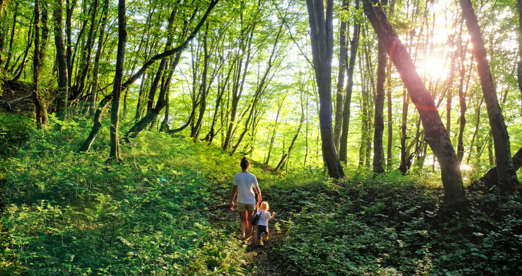 AUSFLUGSTIPP | Waldbaden im Kraichgau AUSFLUGSTIPP | Waldbaden im Kraichgau