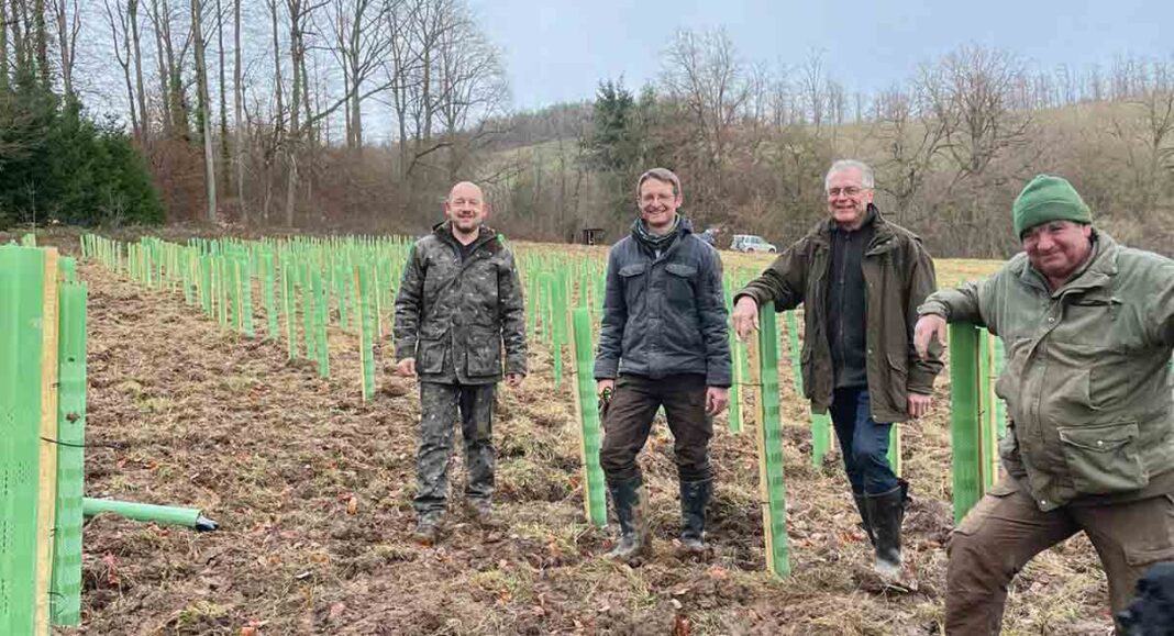 OBERDERDINGEN | Jagdpächter schützen Jungpflanzen vor Wildschäden im Gemeindewald OBERDERDINGEN | Jagdpächter schützen Jungpflanzen vor Wildschäden im Gemeindewald