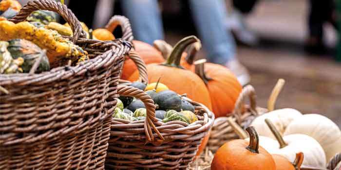 Unser Event-Tipp | 11.10. | 16. Herbstmarkt auf dem Bruchsaler Europaplatz Unser Event-Tipp | 11.10. | 16. Herbstmarkt auf dem Bruchsaler Europaplatz