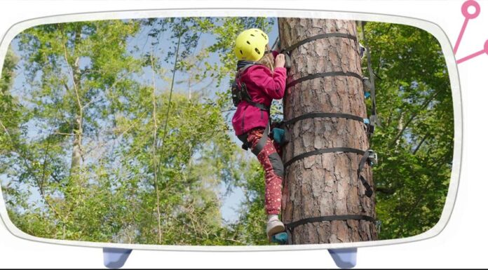 UNSER FAMILIEN-TIPP | 27.9. | Ein Tag im Wald: Natur pur beim AOK-Walderlebnistag