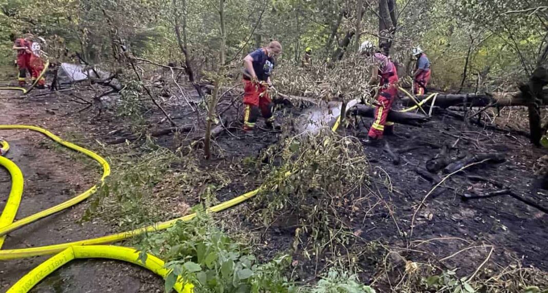 Vom Waldbrand bis zum Gully-Feuer: Einsatzmarathon der Feuerwehren Vom Waldbrand bis zum Gully-Feuer: Einsatzmarathon der Feuerwehren
