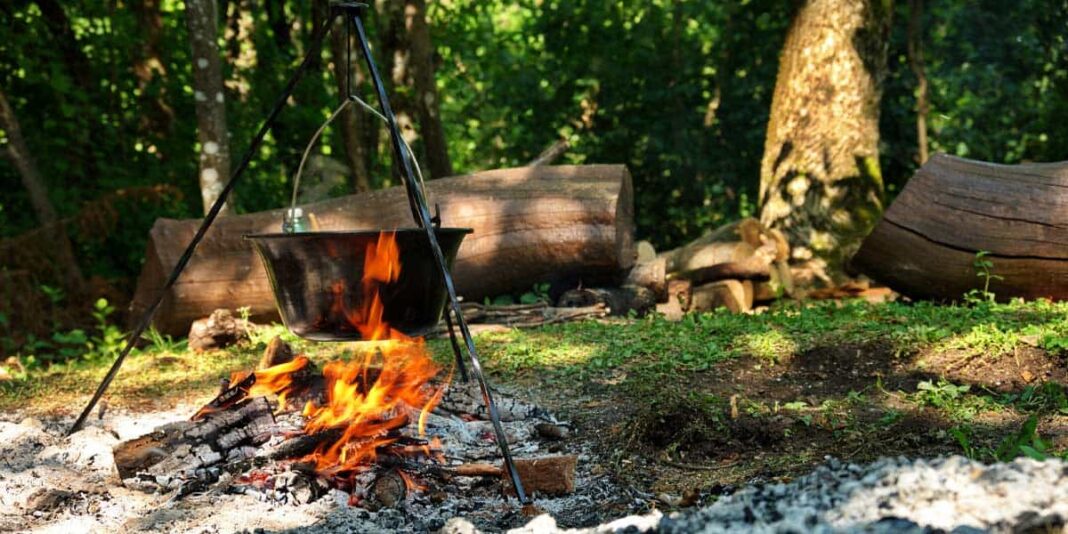 Waldbrandgefahr gesunken: Landkreis Karlsruhe hebt Sperrung von Grillstellen im Wald auf Waldbrandgefahr gesunken: Landkreis Karlsruhe hebt Sperrung von Grillstellen im Wald auf