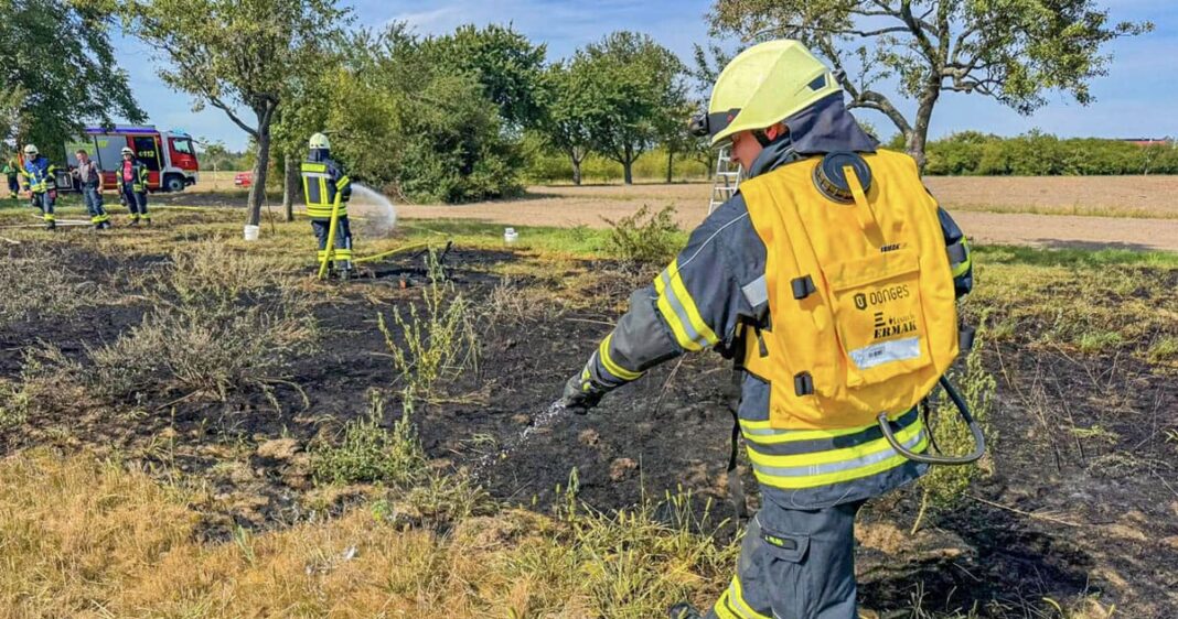 Aus klein mach groß – aus Reisigfeuer entsteht Flächenbrand Aus klein mach groß – aus Reisigfeuer entsteht Flächenbrand