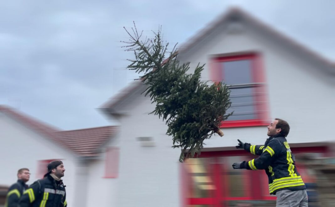Weihnachtsbäume loswerden, aber richtig! Zwei Aktionen für Bretten und Bruchsal Weihnachtsbäume loswerden, aber richtig! Zwei Aktionen für Bretten und Bruchsal