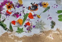 Unser Event-Tipp | 17.10.2026 | Raus in die Natur 'Herbstzeit – Natur im Wandel',