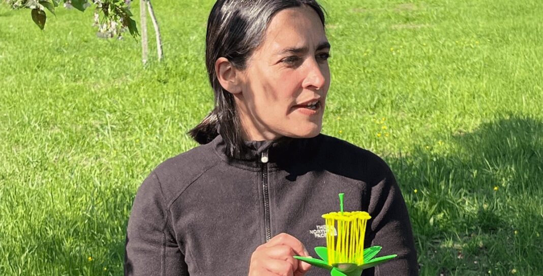 Mitten in der Natur: Kinder erforschen Blüten, Bienen und Kirschen Mitten in der Natur: Kinder erforschen Blüten, Bienen und Kirschen