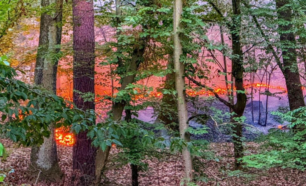 Waldbrand bei Stutensee Waldbrand bei Stutensee