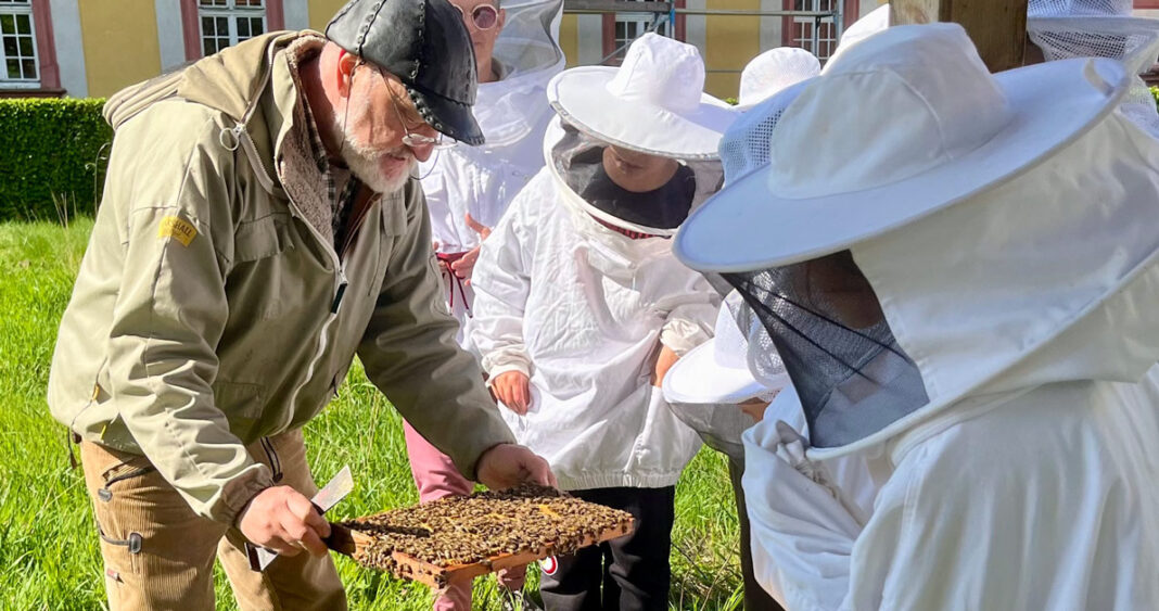 Mit Imkeranzug und Neugier: Hebelschüler entdecken die Welt der Bienen Mit Imkeranzug und Neugier: Hebelschüler entdecken die Welt der Bienen