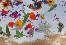 Unser Event-Tipp | 17.10. | Raus in die Natur ‚Herbstzeit – Natur im Wandel‘