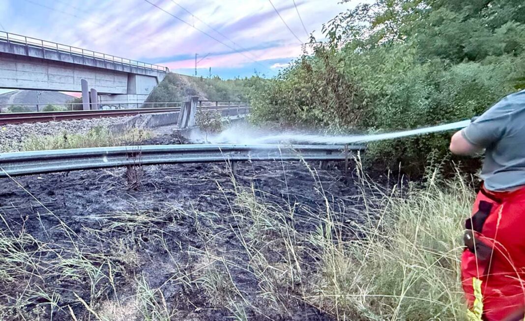Tragischer Fund: Verendeter Storch löst Flächenbrand aus Tragischer Fund: Verendeter Storch löst Flächenbrand aus