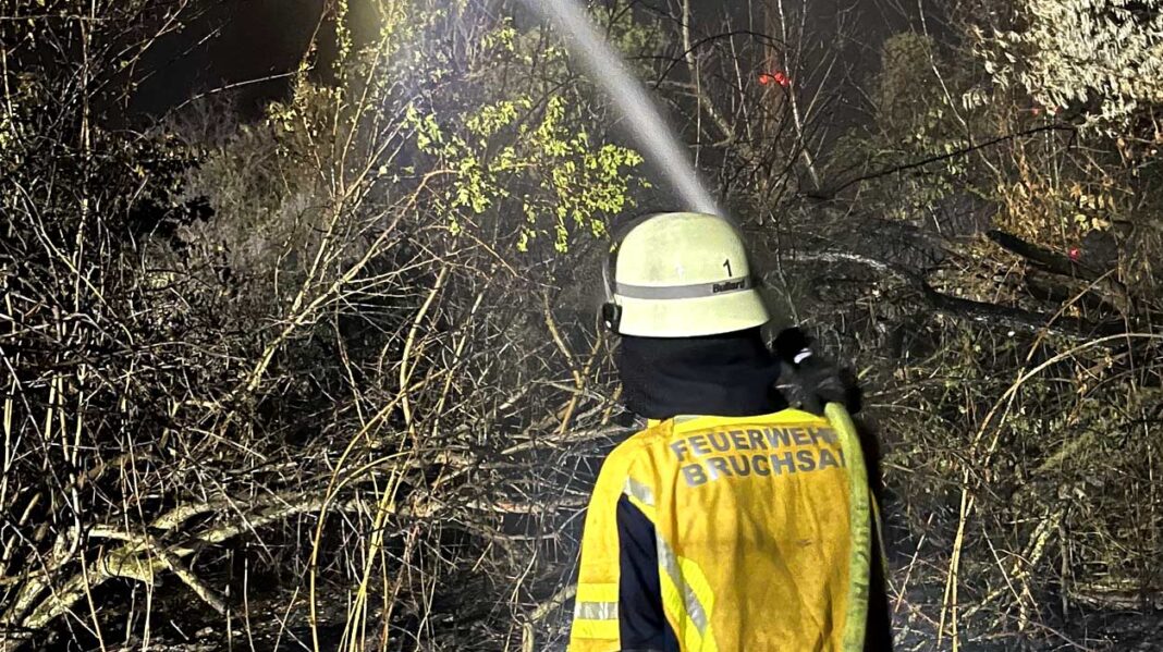 Eine lange Nacht in Mannheim: Feuerwehren aus Bruchsal, Forst, Ubstadt-Weiher helfen beim Flächenbrand Eine lange Nacht in Mannheim: Feuerwehren aus Bruchsal, Forst, Ubstadt-Weiher helfen beim Flächenbrand