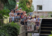 Vom Klassenzimmer aufs Feld: Wie Odenheimer Grundschüler den Weg des Getreides hautnah erlebten