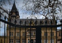 Streit unterm Schlossdach: Gondelsheimer Fledermäuse dürfen weiter flattern
