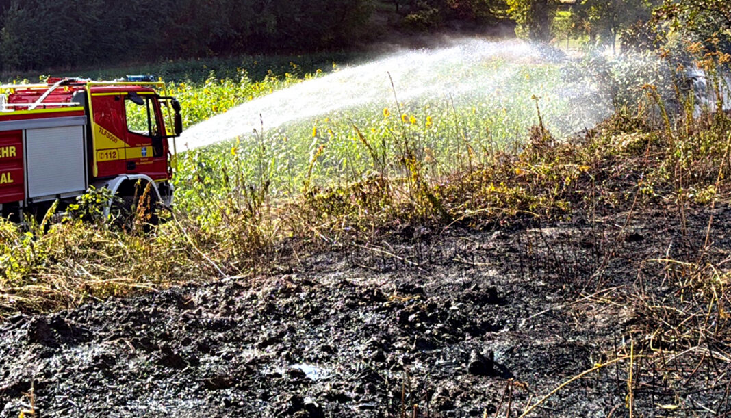 Aus Reisigfeuer wird Flächenbrand: Grundstücksbesitzer bei Löschversuch verletzt Aus Reisigfeuer wird Flächenbrand: Grundstücksbesitzer bei Löschversuch verletzt