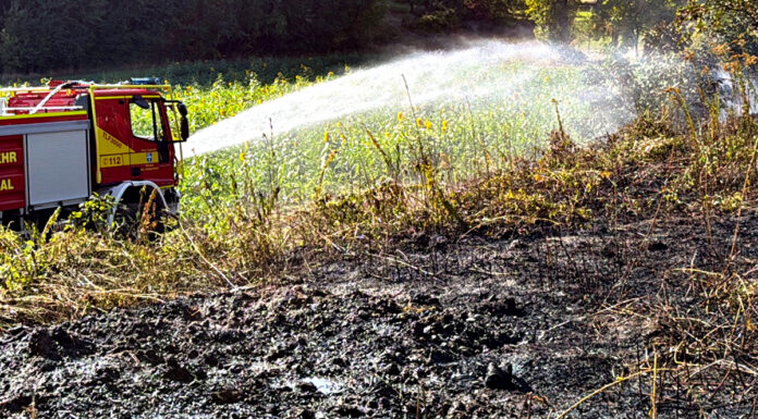 Aus Reisigfeuer wird Flächenbrand: Grundstücksbesitzer bei Löschversuch verletzt