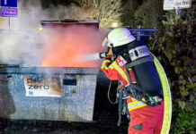 Müllcontainerbrand in Bruchsaler Franz-Siegel-Straße