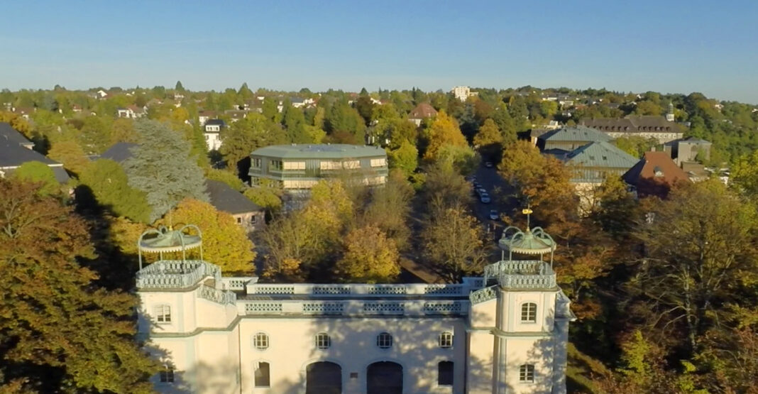 Baumfällungen in Bruchsaler Stadtgebiet angekündigt – 60 Bäume stark geschädigt Baumfällungen in Bruchsaler Stadtgebiet angekündigt – 60 Bäume stark geschädigt