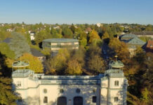 Baumfällungen in Bruchsaler Stadtgebiet angekündigt – 60 Bäume stark geschädigt