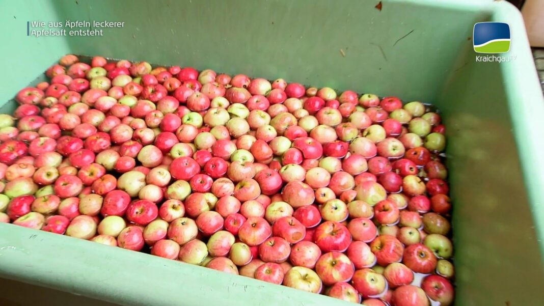 Wie kommt der Apfel in die Flasche? Wie kommt der Apfel in die Flasche?