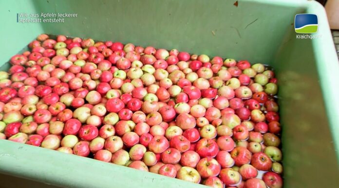 Wie kommt der Apfel in die Flasche?