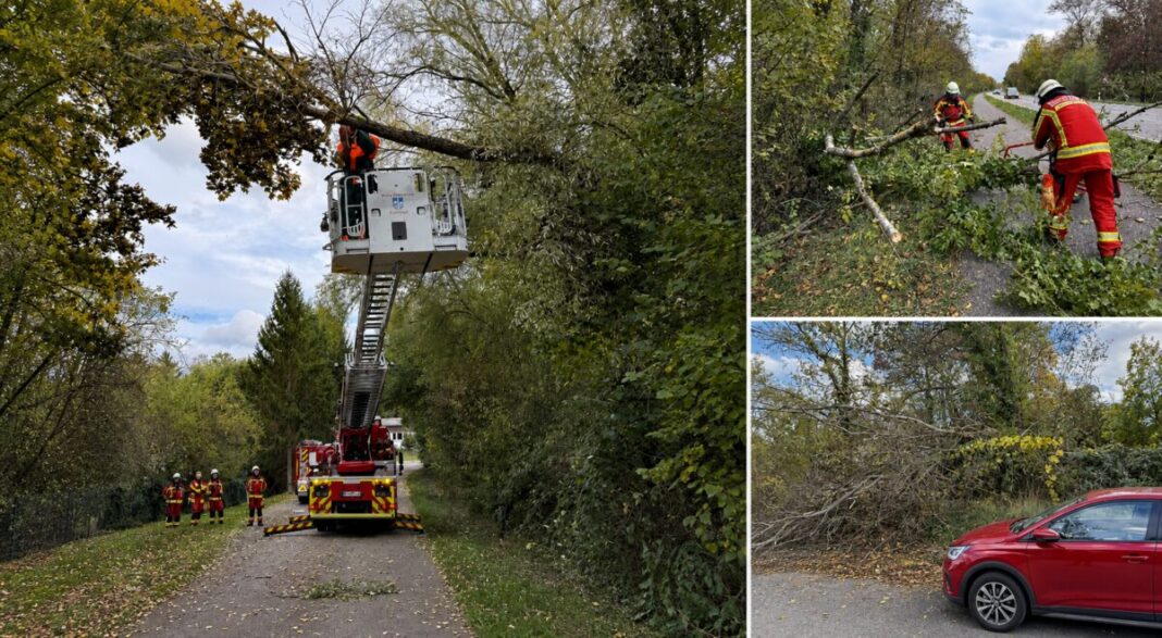 „Luise“ fegt durch Bruchsal – Feuerwehr beseitigt Sturmschäden Herbststurm