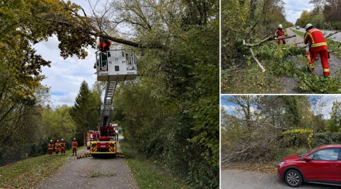 „Luise“ fegt durch Bruchsal – Feuerwehr beseitigt Sturmschäden Herbststurm