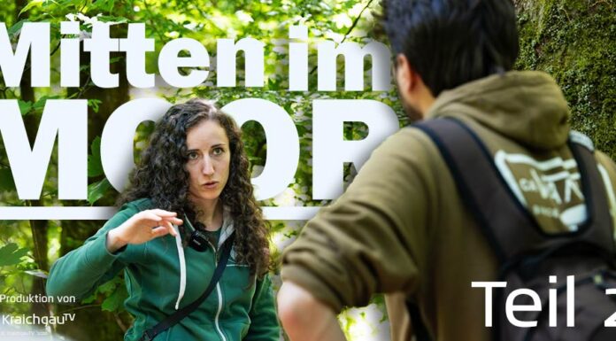 Teil 2: Mit der Försterin auf Tour durchs Weingartener Moor
