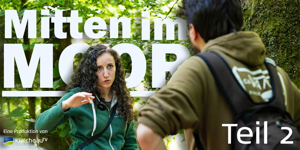 Teil 2: Mit der Försterin auf Tour durchs Weingartener Moor Teil 2: Mit der Försterin auf Tour durchs Weingartener Moor